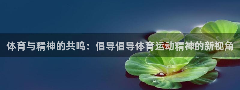 体育与精神的共鸣：倡导倡导体育运动精神的新视角