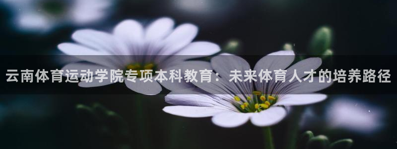 云南体育运动学院专项本科教育：未来体育人才的培养路径