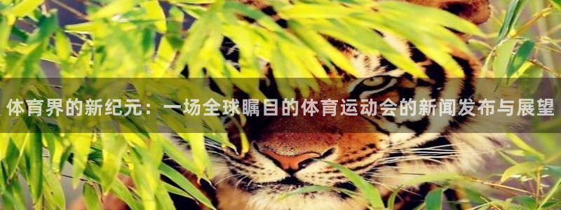 体育界的新纪元：一场全球瞩目的体育运动会的新闻发布与展望