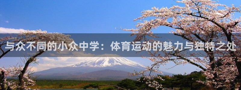 与众不同的小众中学：体育运动的魅力与独特之处