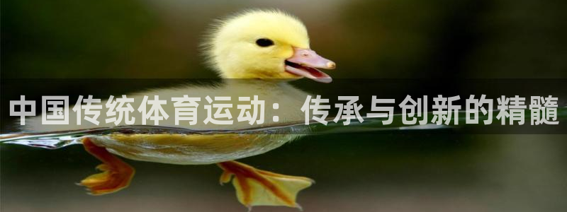 中国传统体育运动：传承与创新的精髓