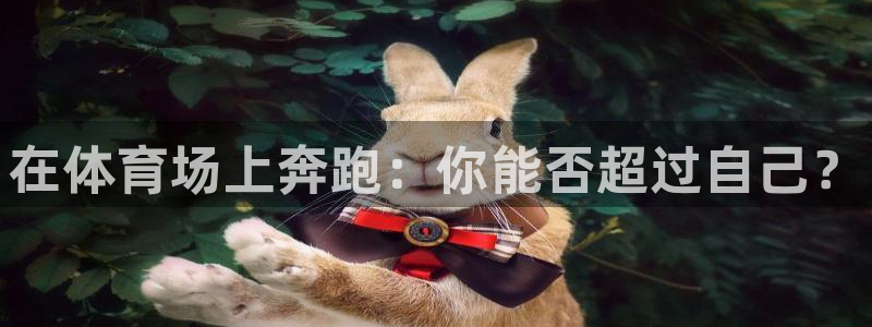 在体育场上奔跑：你能否超过自己？